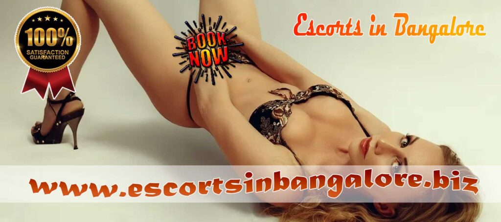 Cooke Town Escorts 
